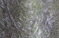 East Malling fibreglass roof work